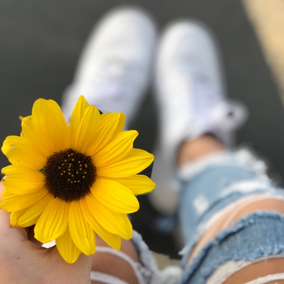 Meet your Posher, Jadalyn - Picture 1 of 1